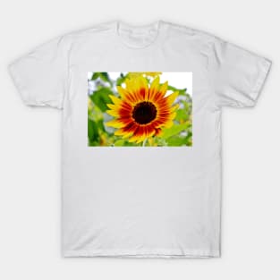 Sunflower Smile T-Shirt